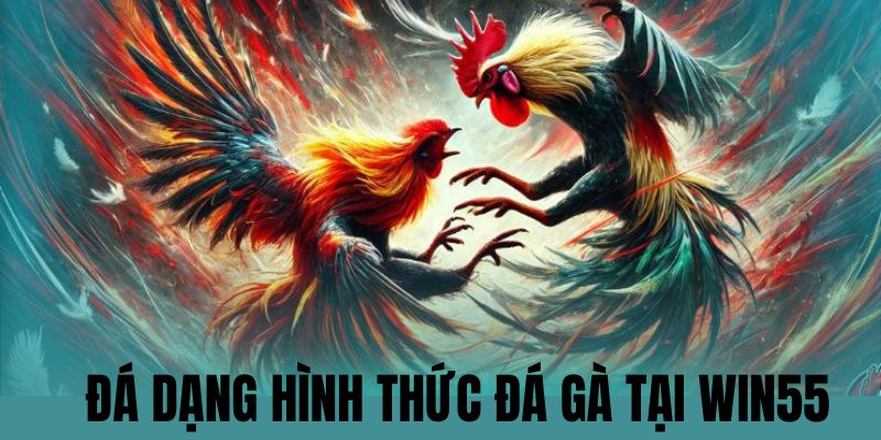 Đa dạng hình thức chọi kê hấp dẫn