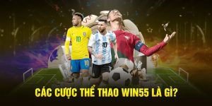 Cách Tham Gia Cá Cược Thể Thao Win55 Dành Cho Tân Binh